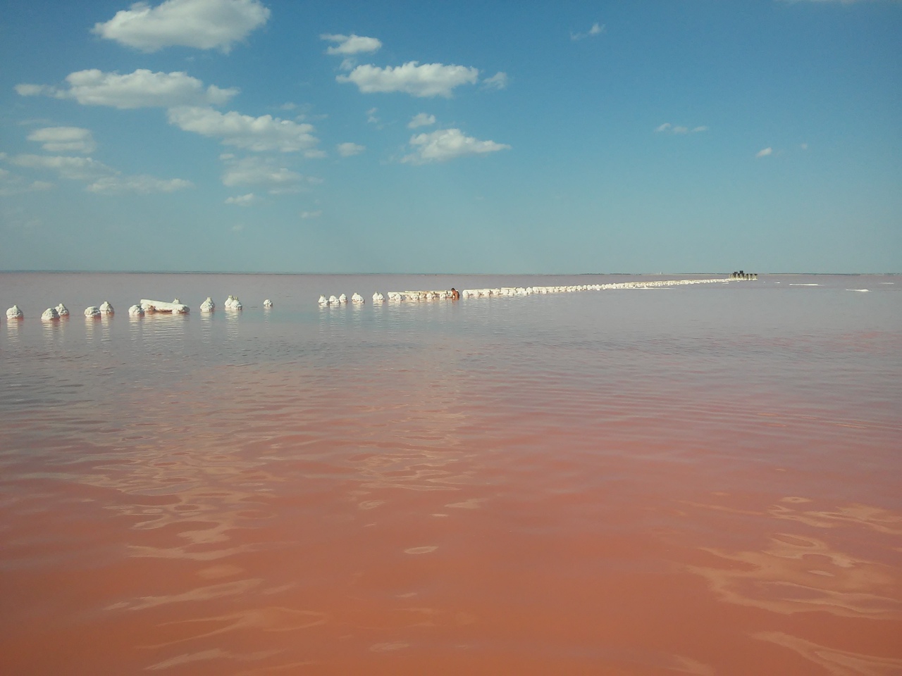 Розовое озеро Сасык-Сиваш 